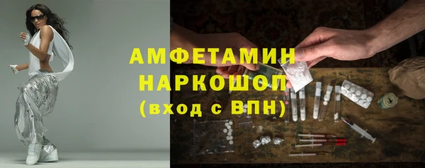 гидра Алексин