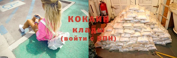 спиды Алзамай