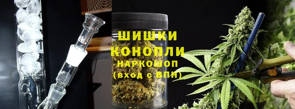 гидра Алексин