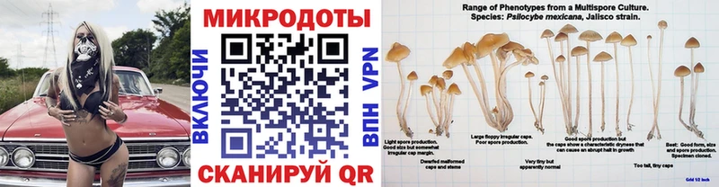Псилоцибиновые грибы мицелий  как найти наркотики  Буй 